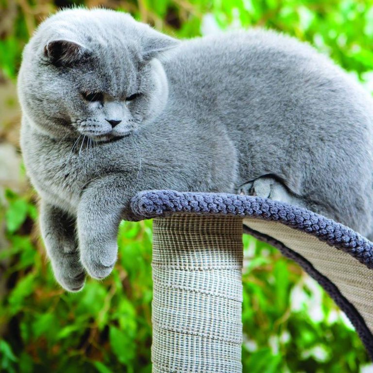 Social media 12 Setugo